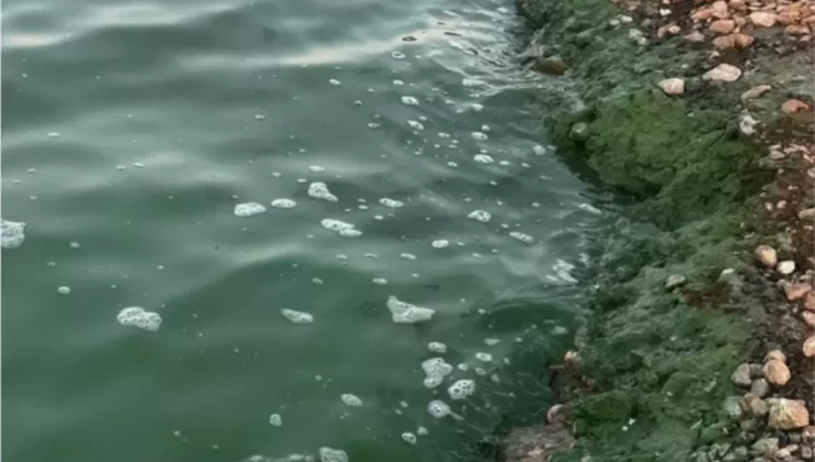Oğuzeli’nde Baraj Gölü’nde Yeşil Renk İncelemesi