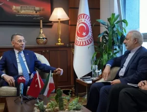 Oktay: Terörle Mücadelede İşbirliği Önemli