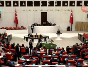 Ölmeztoprak TBMM Genel Kurulunda konuştu