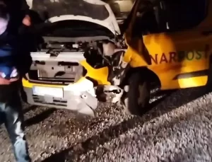 Oltu’da Ayı Kazası: Boz Ayı Telef Oldu