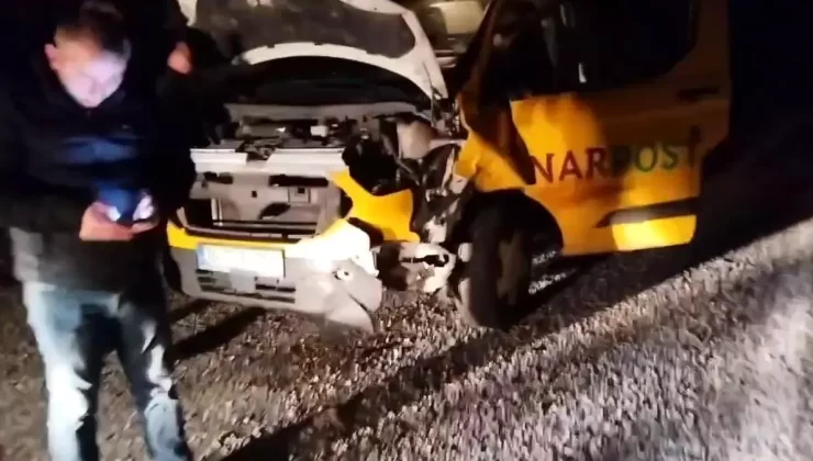 Oltu’da Ayı Kazası: Boz Ayı Telef Oldu