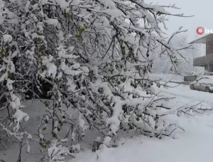 Oltu’ya Mevsimin İlk Karı Yağdı