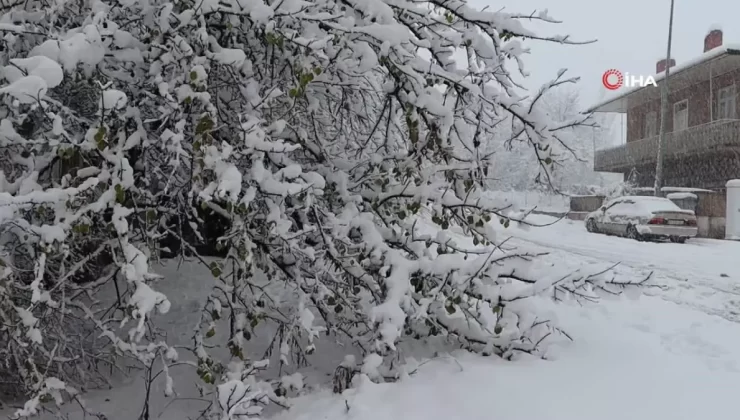 Oltu’ya Mevsimin İlk Karı Yağdı
