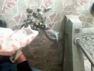 Operasyon üstüne operasyon: Sakarya’da kaçak sigara ve uyuşturucu avı