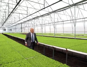 Ordu Büyükşehir Belediyesi’nden Çiftçilere Fide Desteği