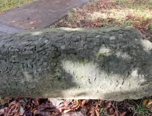 Ordu’da 1800 Yıllık Mil Taşı Teslim Edildi