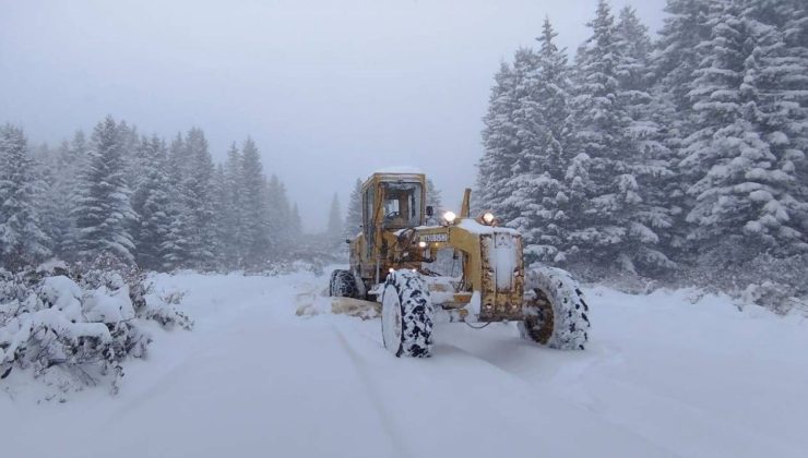 Ordu’da kar esareti: Mahsur kalan 4 kişi aranıyor