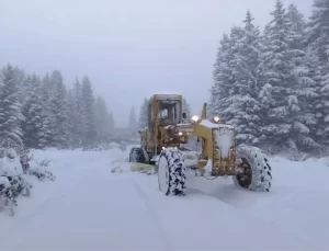Ordu’da kar geçit vermiyor: Mahsur kalan 4 kişi aranıyor