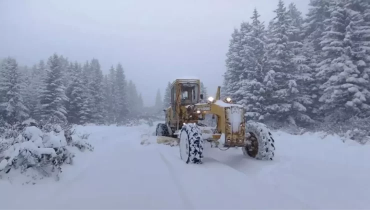 Ordu’da kar geçit vermiyor: Mahsur kalan 4 kişi aranıyor