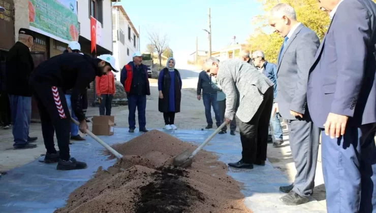 Organik Mercimek Üretiminde Artış