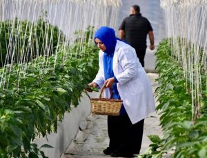 Organik ve iyi tarım uygulamalarına verilen destek açıklandı