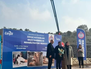 Orhangazi’de Sokak Hayvanları Rehabilitasyon Merkezi Kuruluyor