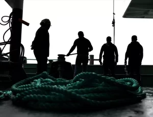 Orkinos İhracatında Rekor Beklentisi