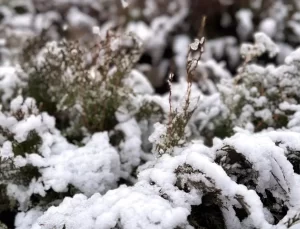 Orta Anadolu’da Kar Yağışı Etkili