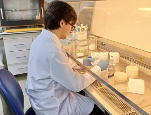 Örümcek Zehri ile Tarım İlaçları Geliştirildi