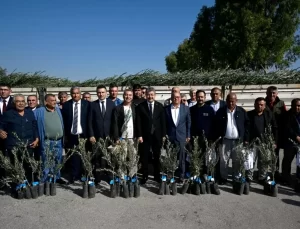 Osmaniye’de 450 Üreticiye Zeytin Fidanı Dağıtıldı