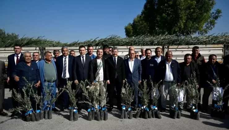 Osmaniye’de 450 Üreticiye Zeytin Fidanı Dağıtıldı
