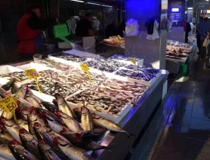 Palamut Sezonu Sonrasında Hamsi Umudu