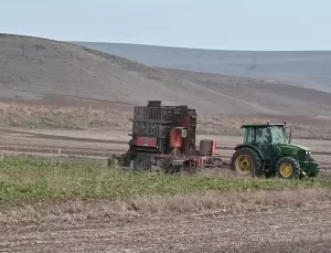 Pancar Çiftçileri Randevu Sistemiyle Zor Durumda