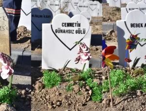 Parçalanmış bebek cesedini mezardan tilki çıkarmış