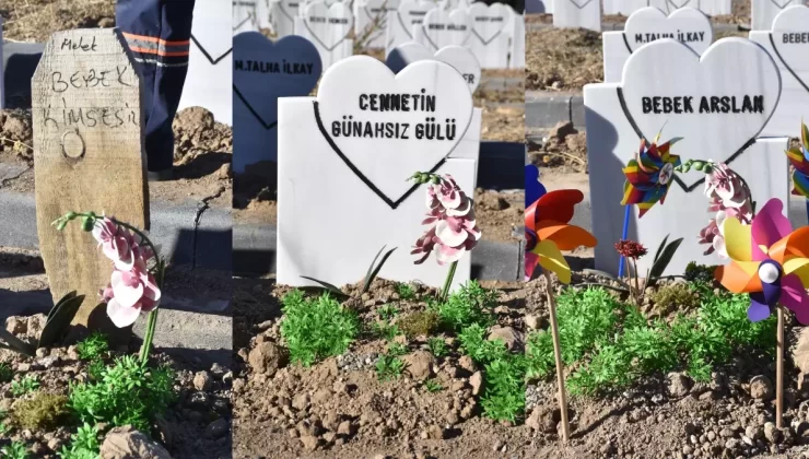 Parçalanmış bebek cesedini mezardan tilki çıkarmış