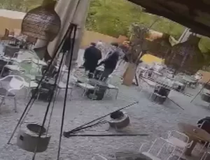 Pitbull Saldırısında Kayıp Köpek Aranıyor