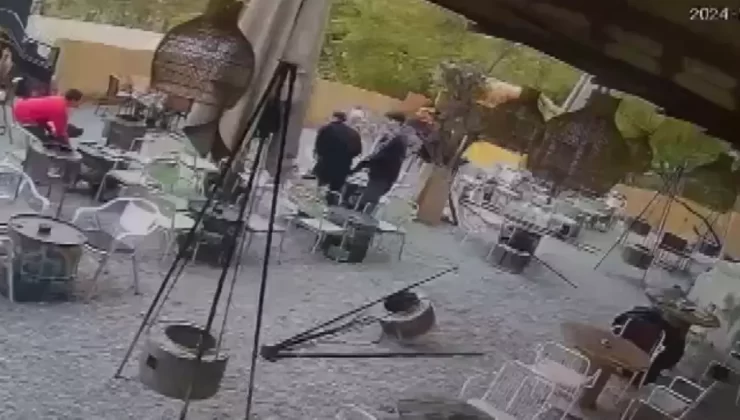 Pitbull Saldırısında Kayıp Köpek Aranıyor