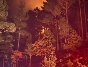 Pozantı’da Orman Yangını Kontrol Altına Alındı