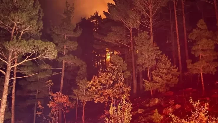 Pozantı’da Orman Yangını Kontrol Altına Alındı