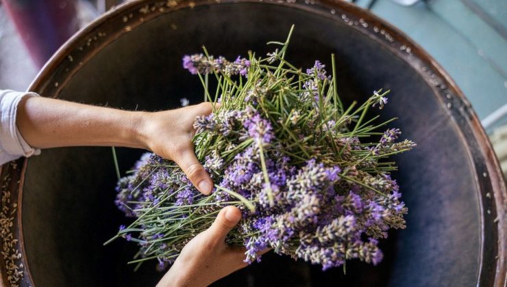Prof. Dr. İbrahim Saraçoğlu’ndan sigara bıraktıran kür: 40 yıllık tiryakiyi bile nikotinden tiksindiriyor