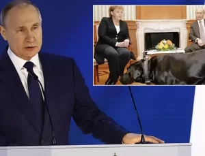 Putin’den Merkel’e 17 yıl sonra ”köpek özrü” geldi
