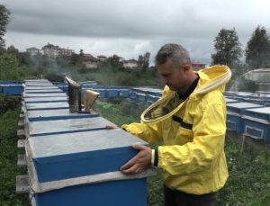 Rize’de arıcılık yapmak için doktora ve öğretmenlikten vazgeçti