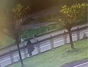 Rize’de Kadın Başıboş Köpeklerin Saldısına Uğradı