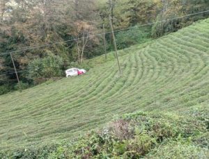 Rize’de otomobil çay bahçesine yuvarlandı