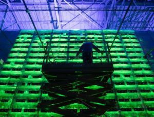 Rusya’da bireysel kripto para madenciliği yapanlara elektrik tüketim sınırı