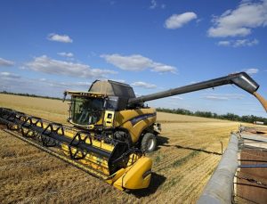 Rusya’nın tahıl ihracatı hedefi 55-57 milyon ton