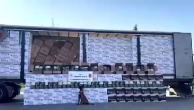 Sakarya’da 15 Milyon Lira Değerinde Kaçak Tütün Ele Geçirildi