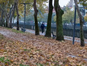 Sakarya’da Sonbahar Güzelliği