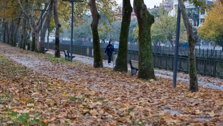 Sakarya’da Sonbahar Güzelliği