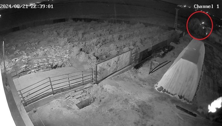 Salim Güran’ın dere yatağına gittiği anların kamera görüntüsü ortaya çıktı