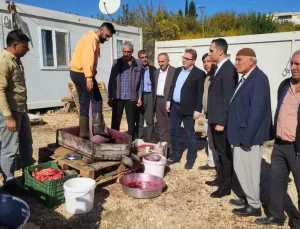 Samsat’ta Nar Üretimi ve Katma Değerli Ürünler