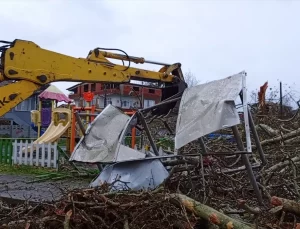 Samsun’da 650 Yaşındaki Çınar Ağaç Devrildi