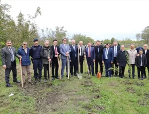 Samsun’da Ağaçlandırma Seferberliği
