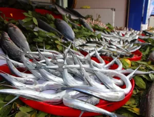 Samsun’da Hamsi Av Sezonu Açıldı