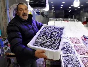 Samsun’da Hamsi Fiyatları Düşüşte