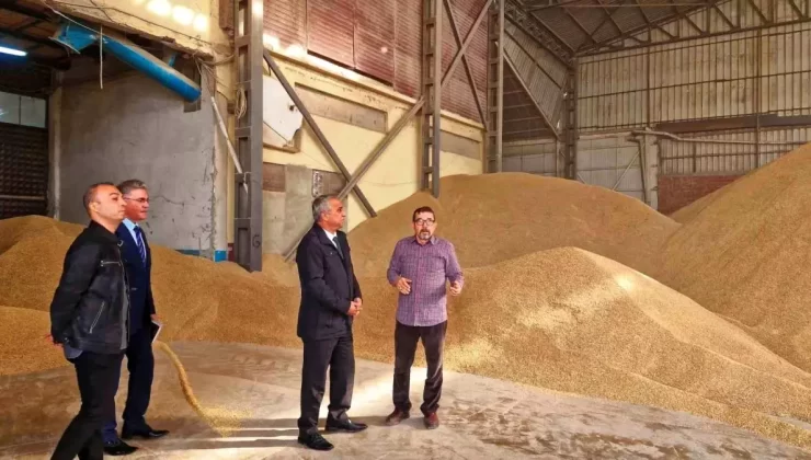 Samsun’da Kırsal Kalkınma Projeleri İncelendi