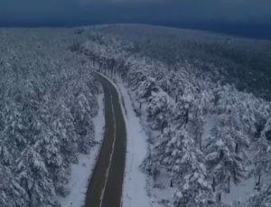 Samsun’da ormanlar beyaz örtüyle kaplandı