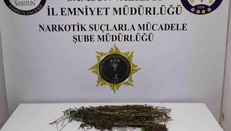 Samsun’da Uyuşturucu Operasyonu