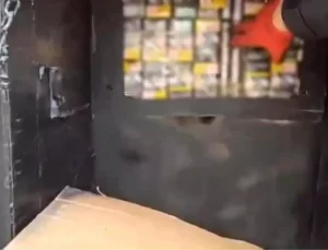 Şanlıurfa’da Tırda 4 Bin 200 Paket Kaçak Sigara Ele Geçirildi