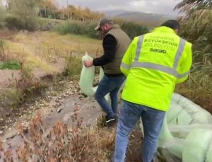 Sapanca Gölü’nde sızıntı alarmı…Akaryakıt sızıntısı ekipleri harekete geçirdi!